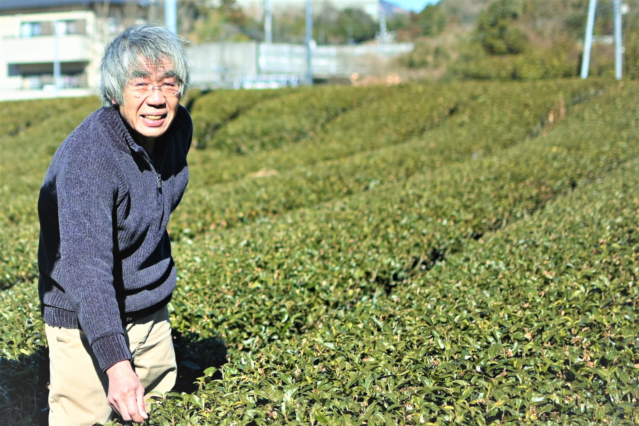 松下園　松下芳春さん