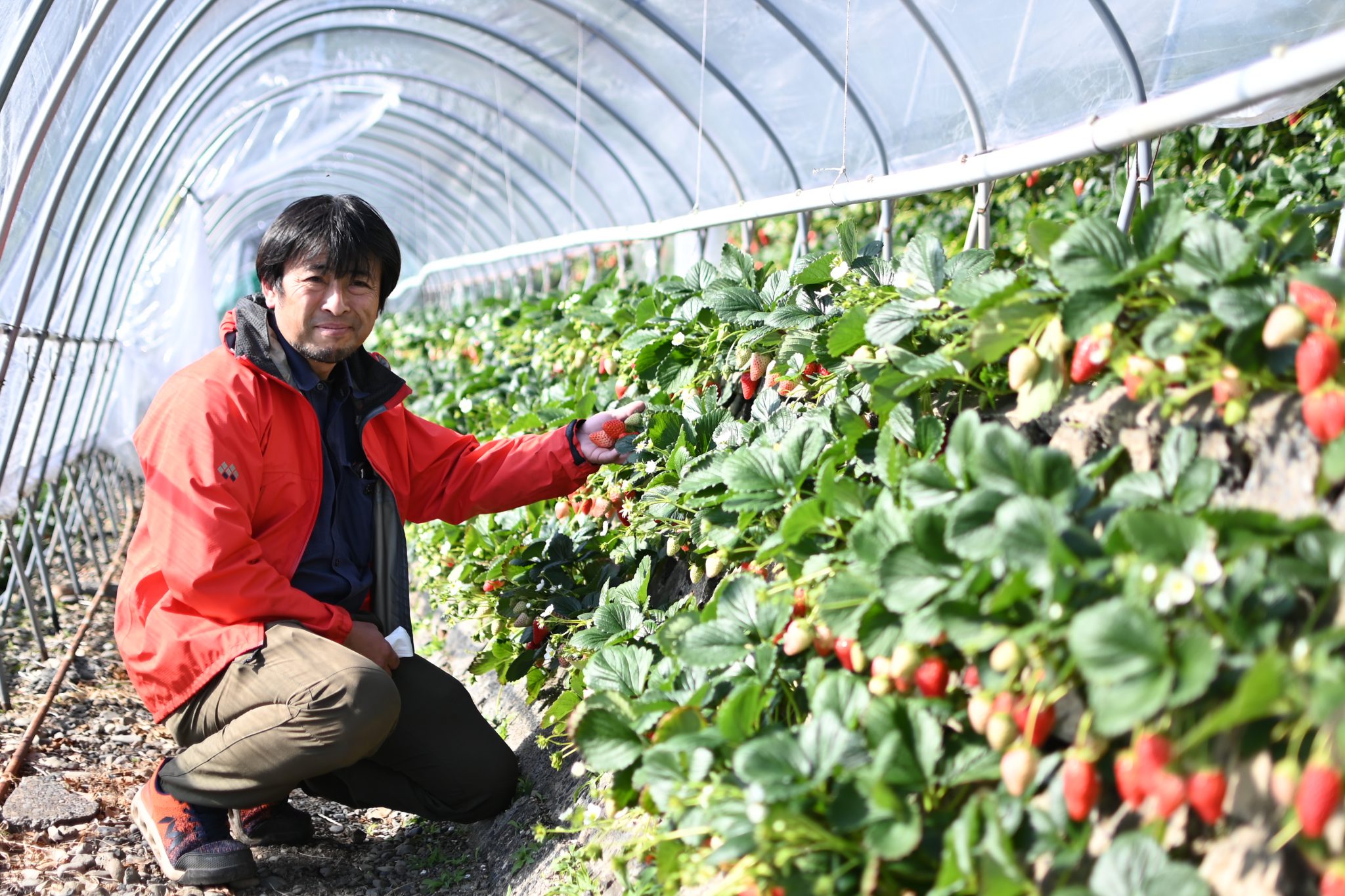 萩原農園　萩原一亮さん"