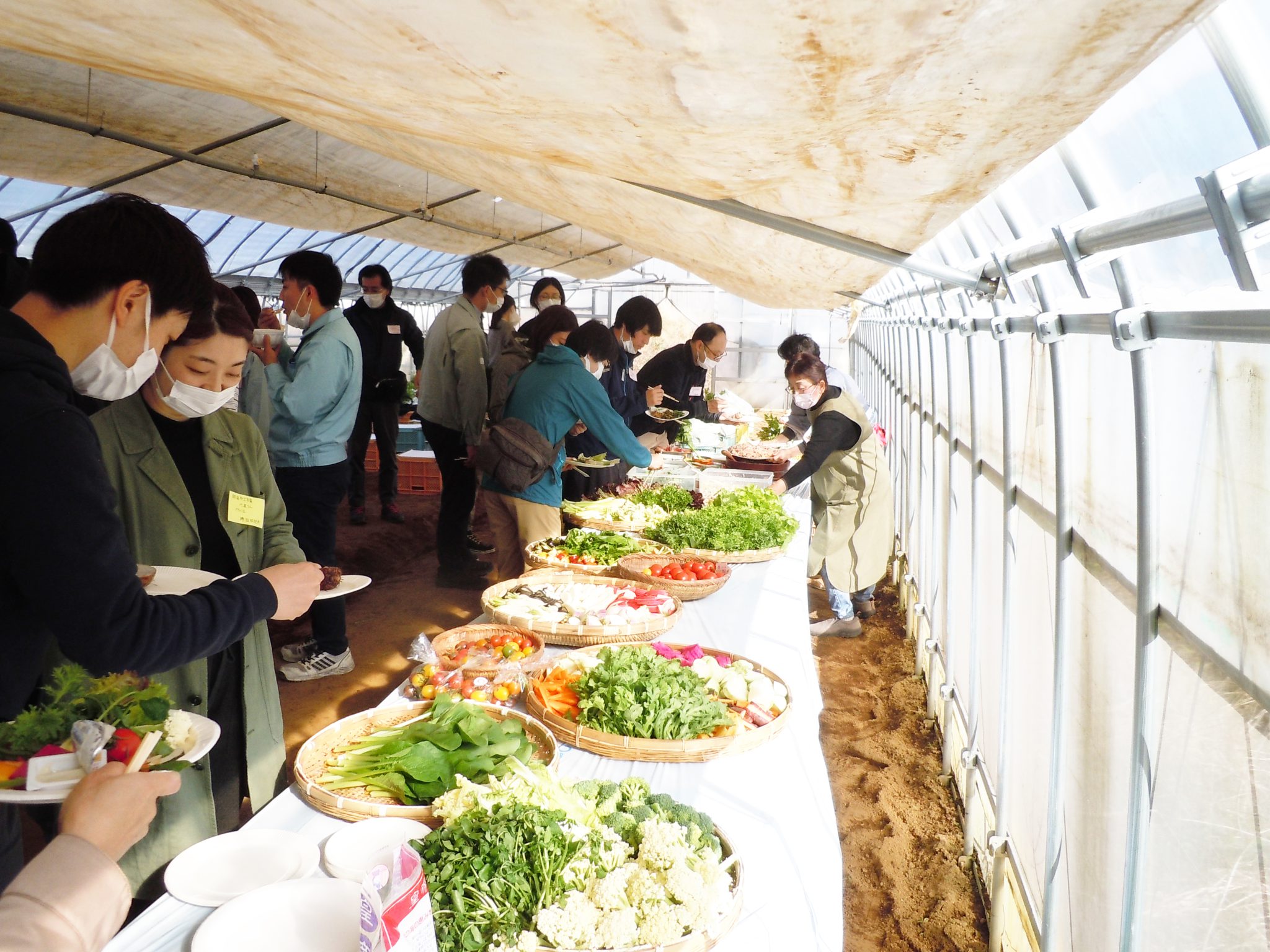 野菜のおいしさ伝えたい　年2回農園開放、生産者と消費者の懸け橋に　杉本正博さん・三島市