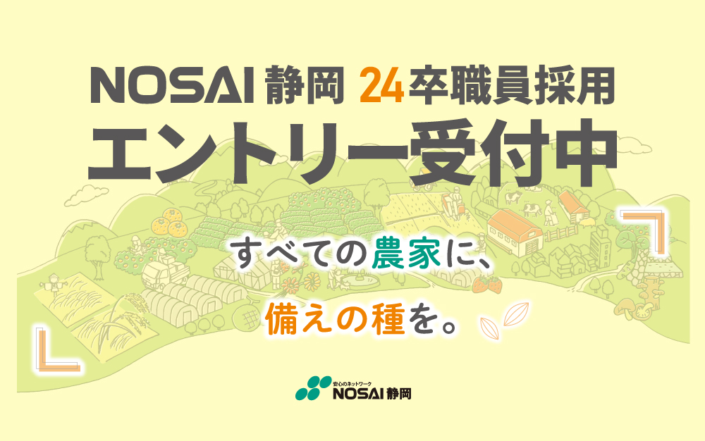 24卒エントリー受付中