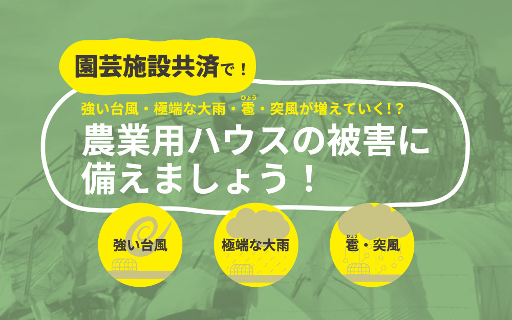 【園芸施設共済】強い台風・極端な大雨・雹・突風が増えていく？